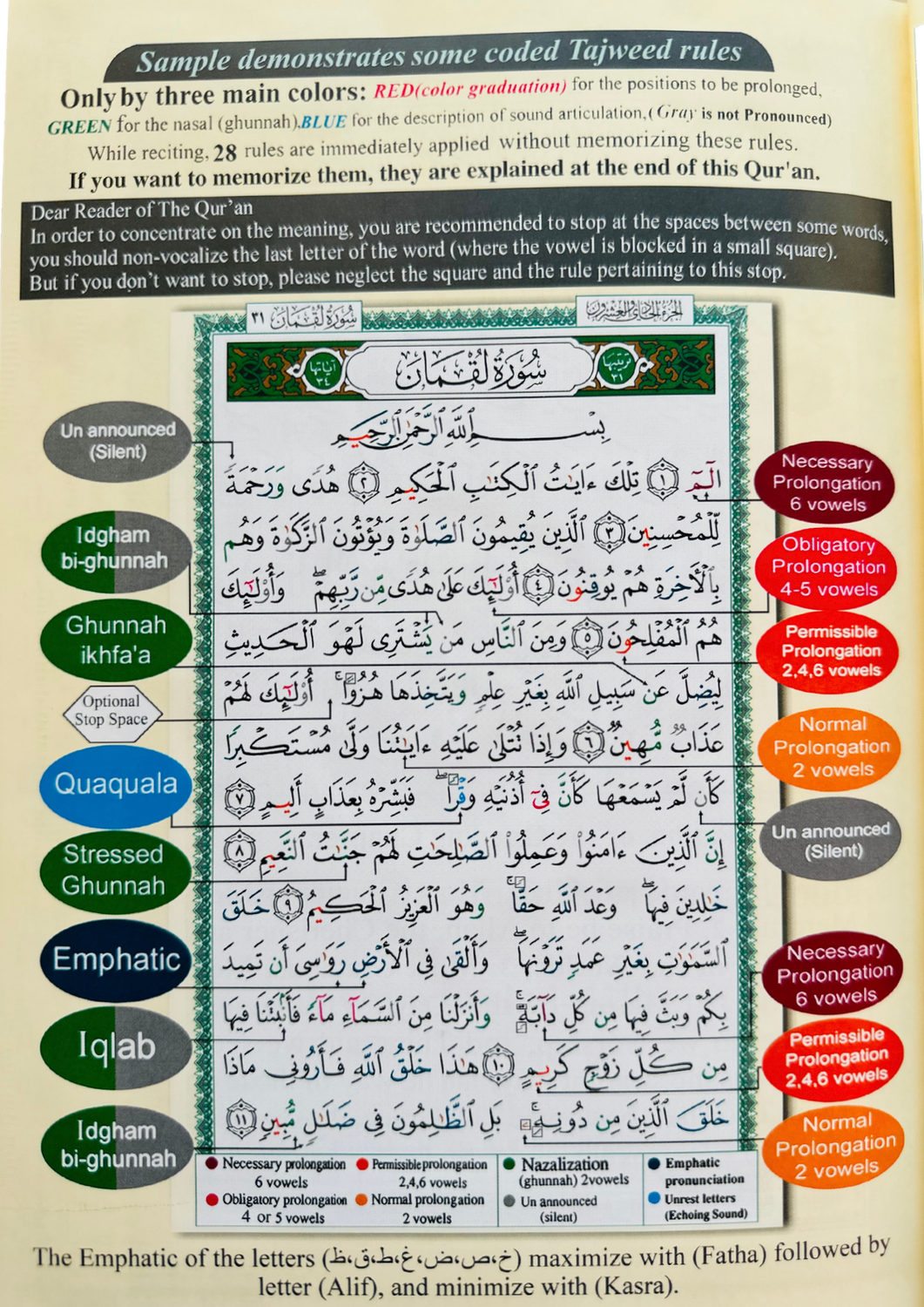 Tajweed Quran with Meaning Translation in English and Transliteration (Red Color)