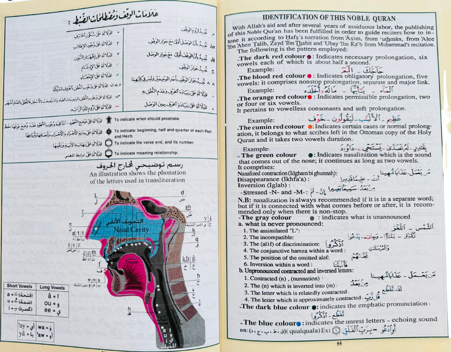 Tajweed Quran with Meaning Translation in English and Transliteration (Red Color)